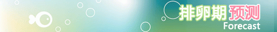 排卵期預(yù)測