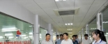 工業(yè)和信息化部中小企業(yè)局副局長許科敏一行蒞臨明一國際考察