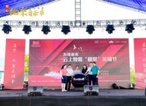 擁抱星空下的海峽云上牧歌——為荷而來·桃梨音樂節盛大開啟！