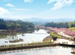 天籟牧場(chǎng)：邂逅櫻花 相遇春天