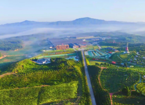 農業部推介！明一國際天籟牧場被評為全國典型！