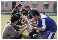 新員工入職培訓--團隊協作