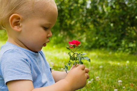 父母教育 父母教育