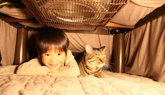 表揚和批評寶寶 表揚和批評寶寶